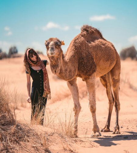 Photo Of Person Beside Camel